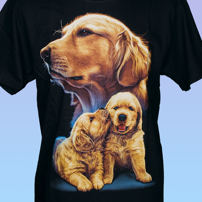 Koszulka z psem Labrador